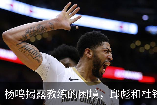 杨鸣揭露教练的困境，邱彪和杜锋的小团队行为是否成为自保策略？