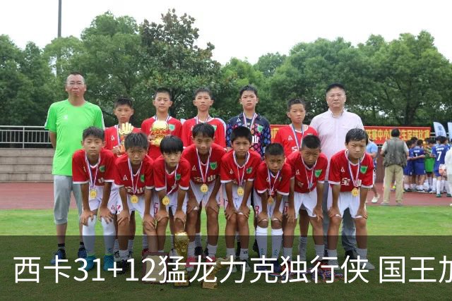 西卡31+12猛龙力克独行侠 国王加时险胜开拓者